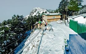 Dhanaulti Jungle Resort